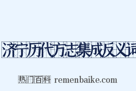 济宁历代方志集成反义词是什么意思的图片